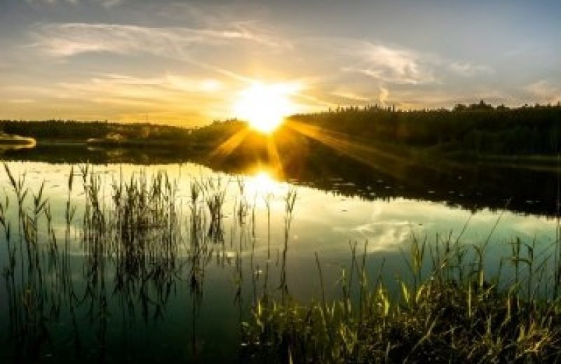 Nationaal Park Hoge Kempen
